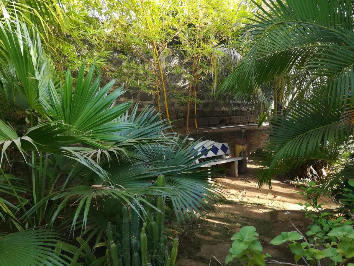 Harvest House Nicaragua Hotell León Eksteriør bilde