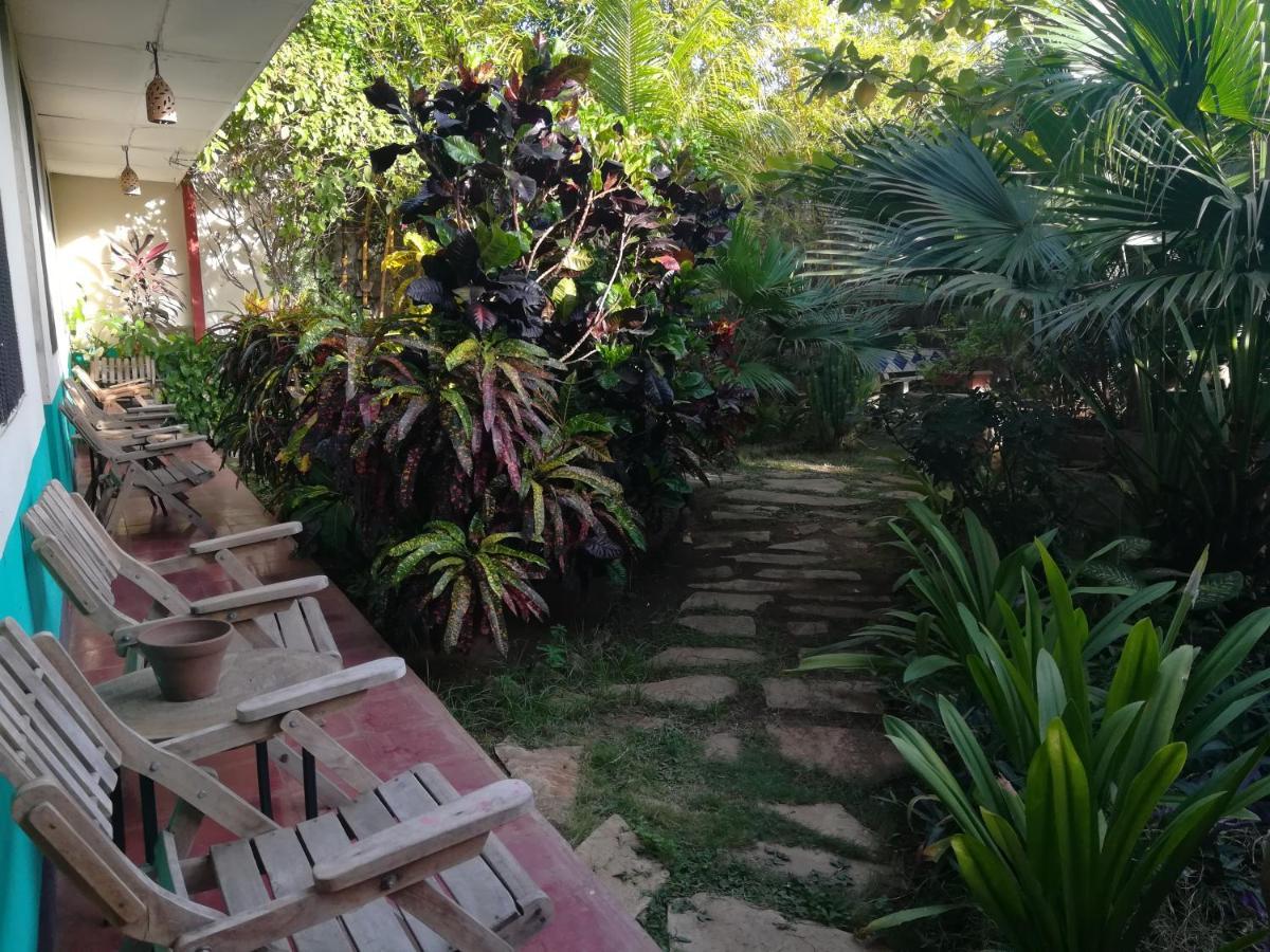 Harvest House Nicaragua Hotell León Eksteriør bilde